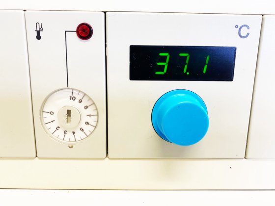 贺利氏 B6030 培养箱，70°C，30 升容量