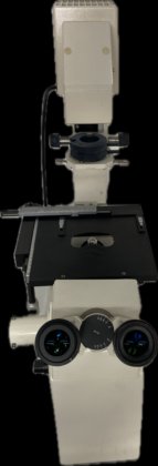 蔡司 Axiovert S 100 显微镜