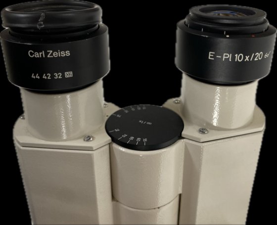 蔡司 Axiovert S 100 显微镜