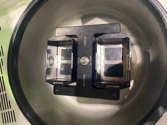 Sigma 4-15 带孔板的离心机 - 转子