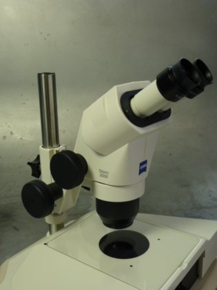 带光源和透射光装置 S 的 Zeiss Stemi2000