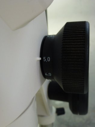 带光源和透射光装置 S 的 Zeiss Stemi2000