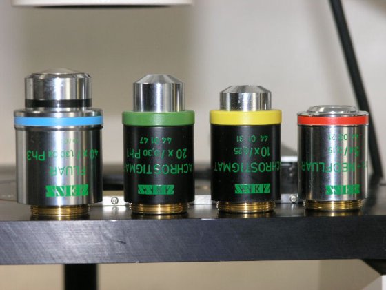 蔡司 Axiovert 135 倒置相差显微镜