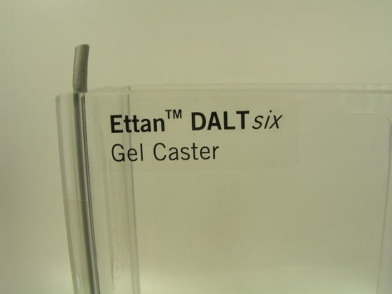 埃坦 DALTsix 凝胶脚轮