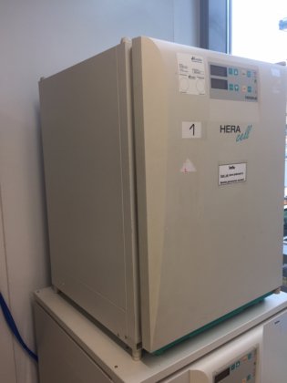 Thermo Heraeus HeraCell150 CO2 培养箱（带铜质培养室