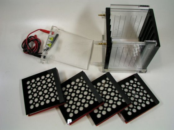 赛默飞世尔科技 VEP-2 微型槽电印迹系统