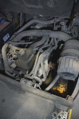 永恒力四轮前叉车