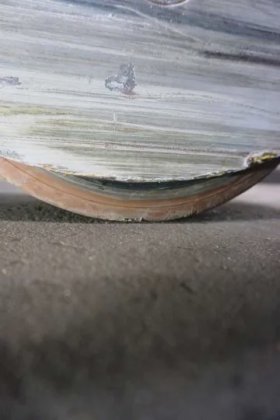 永恒力前移式叉车