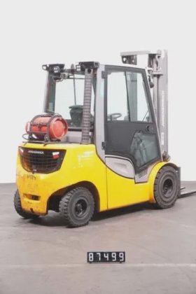 永恒力四轮前叉车