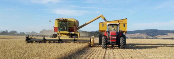 稻谷机 农用拖车