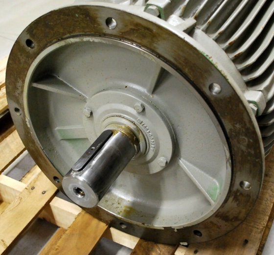 LOHER ANGA280SG04C 3 Phase Motor. HP100 (75Kw) Rpm1785/1800 in