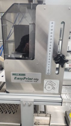 Daltolac R145 MULTIVAC R145 Roll-Fed Thermoforming Machine in Chesterfield, MO, USA