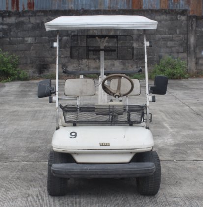 雅马哈草坪女士高尔夫球车 | EO3-14