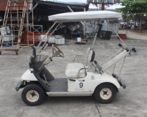 雅马哈草坪女士高尔夫球车 | EO3-14