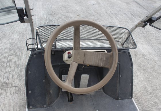 雅马哈草坪女士高尔夫球车 | EO3-14