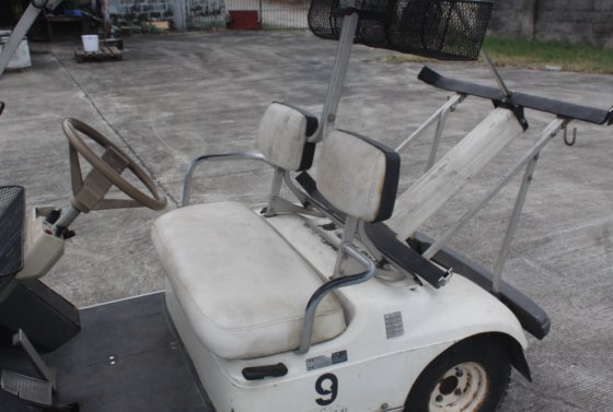 雅马哈草坪女士高尔夫球车 | EO3-14