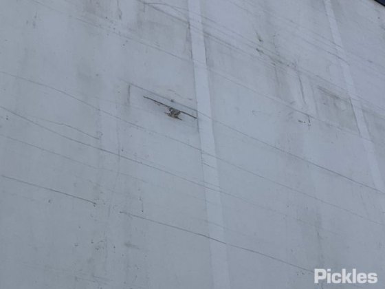 2022年PBS预告片ST3