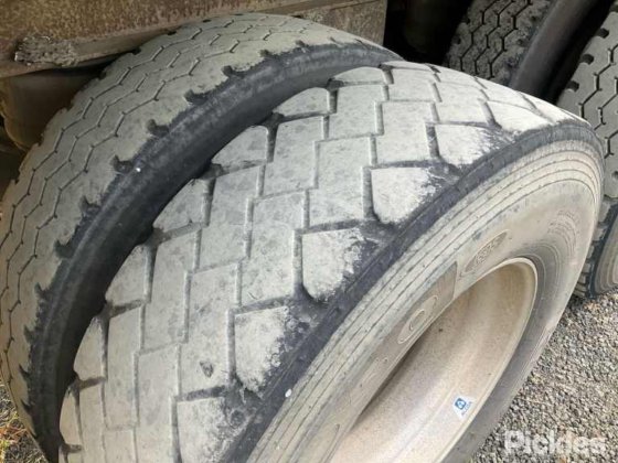 1995 年玛蒂尔达步行地板