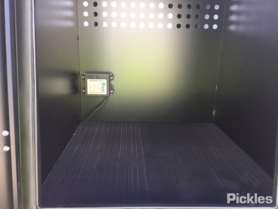 2025 绿色有限公司