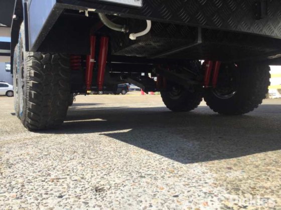 2025 绿色有限公司