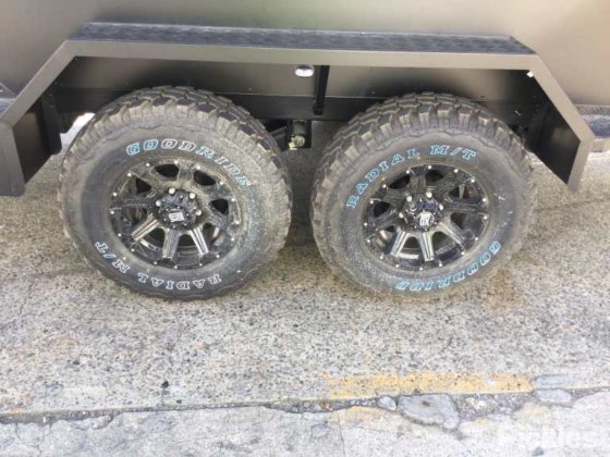 2025 绿色有限公司