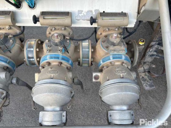 2013 Marshall Lethlean DOG4