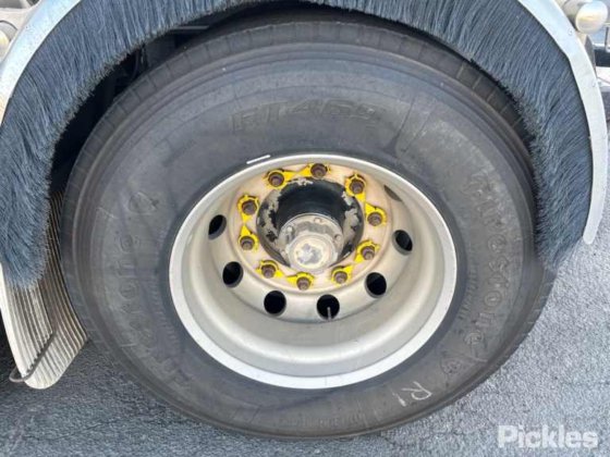 2013 Marshall Lethlean DOG4