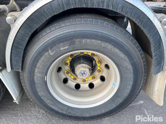 2013 Marshall Lethlean DOG4