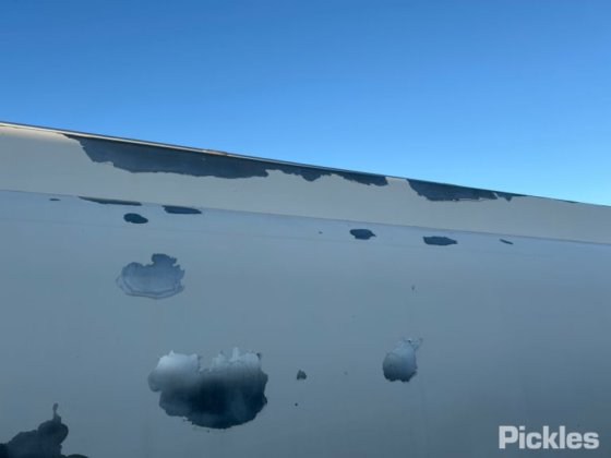 2013年式 マーシャル レスリーン DOG4