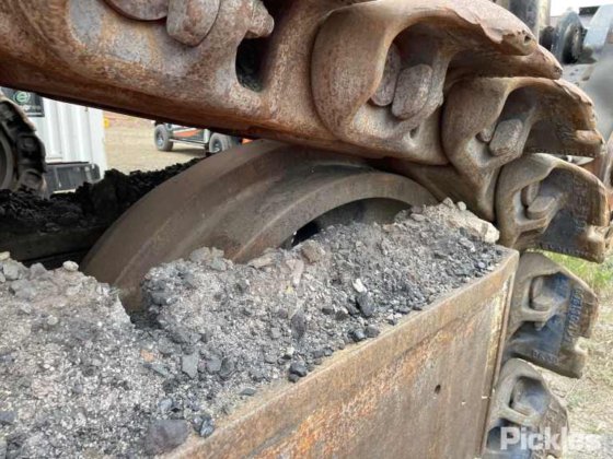 2010年 バサイラス