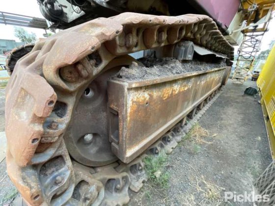 2010年 バサイラス