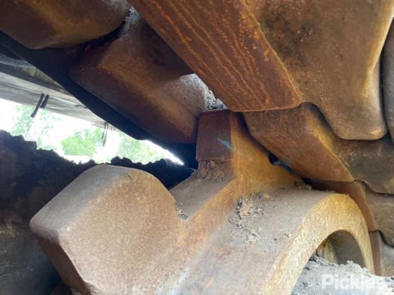 2010年 バサイラス