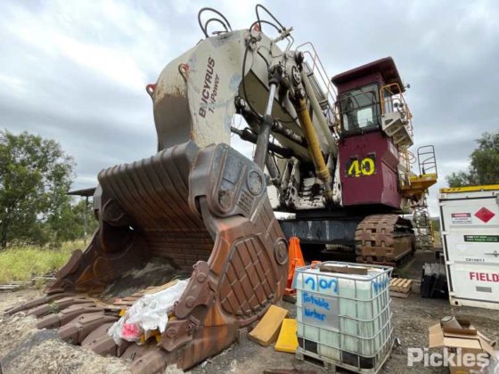 2010年 バサイラス