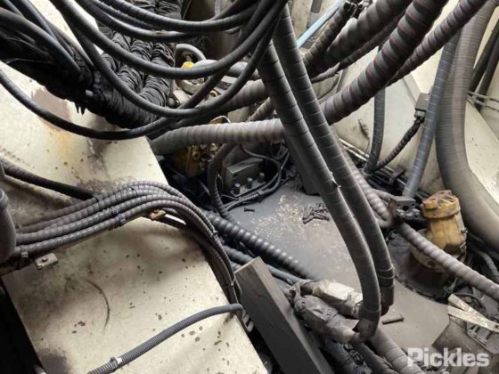 2010年 バサイラス