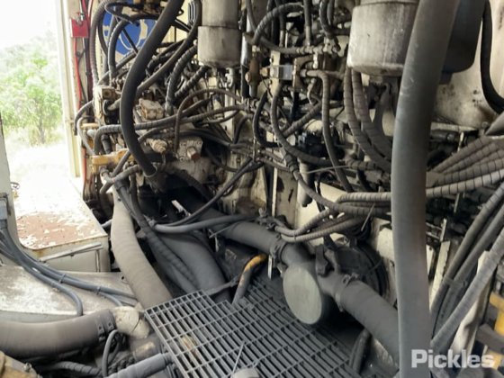 2010年 バサイラス