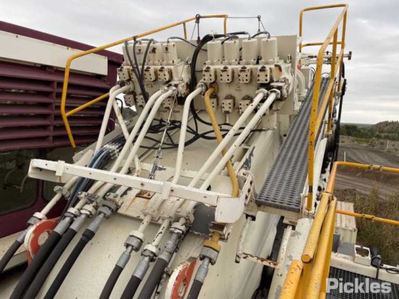 2010年 バサイラス