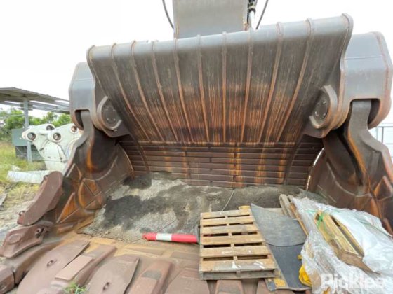 2010年 バサイラス