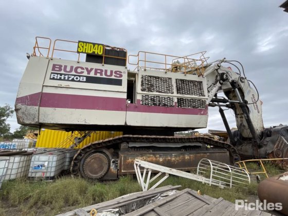 2010年 バサイラス