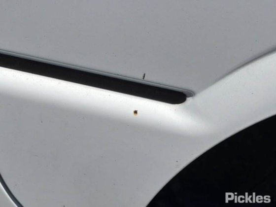 2020 三菱ふそうローザ