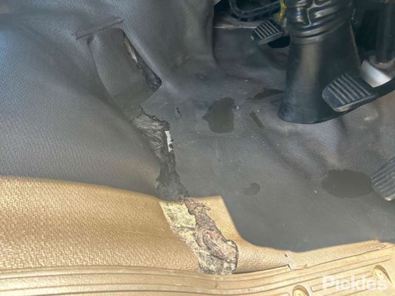 2015 フソ・ローザ