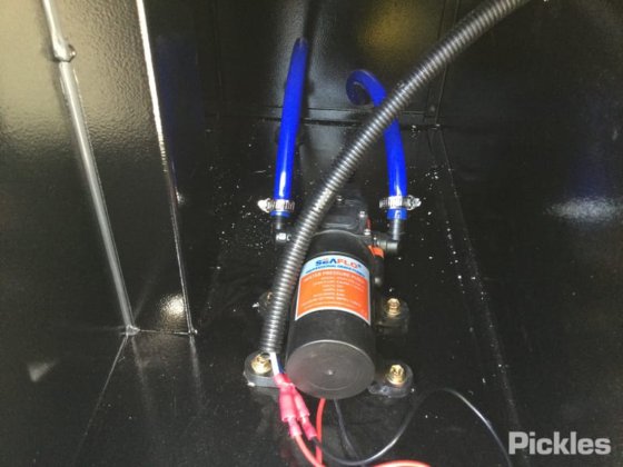 2025 绿色有限公司