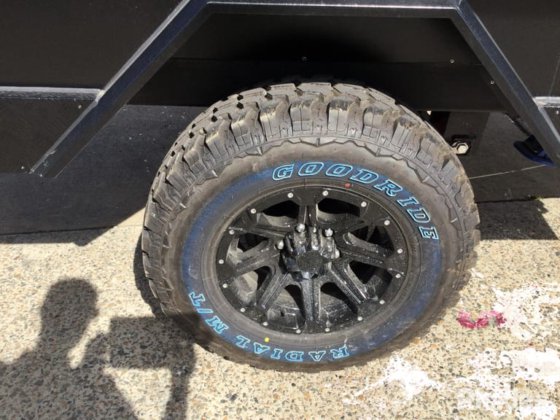 2025 绿色有限公司