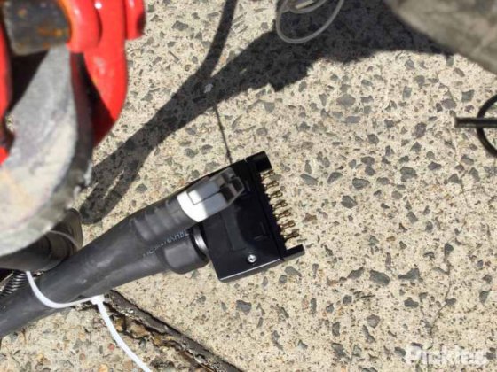 2025 绿色有限公司