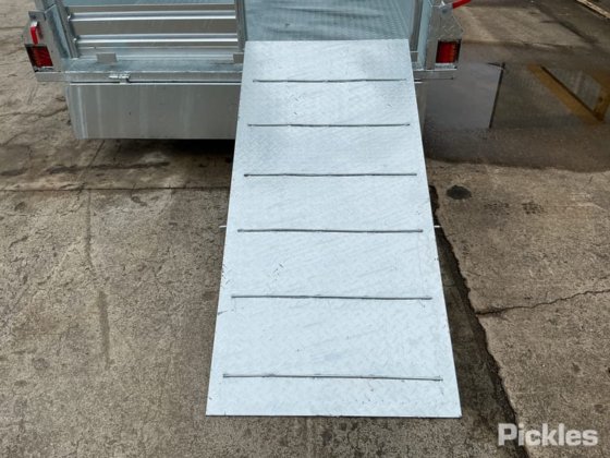 2025 绿色有限公司