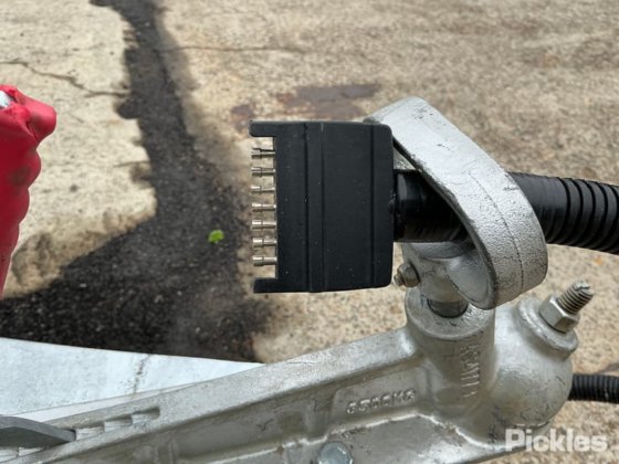 2025 绿色有限公司