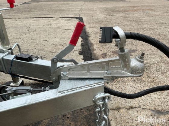 2025 绿色有限公司