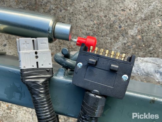 2025 绿色有限公司