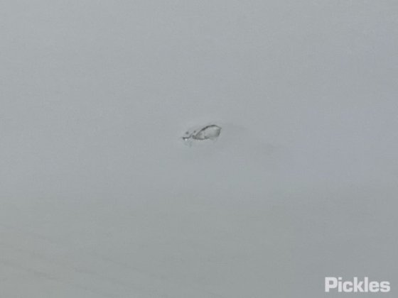 2020年イヴェコデイリー