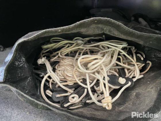 2023 白金通用 S4