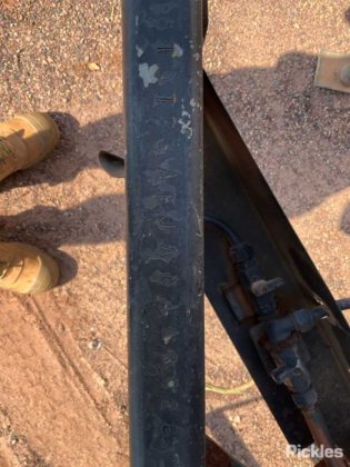 2010 自家製ピッグ